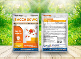 Bacca 80WG