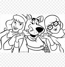 All information about scooby doo and the gang coloring pages. Scooby Doo Coloring Pages Color Png Image With Transparent Background Toppng