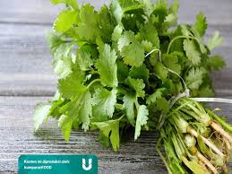 And i think coriander leaves have a stronger smell than celery. Ini Cara Membedakan Seledri Peterseli Dan Daun Ketumbar Kumparan Com