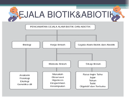We did not find results for: Contoh Soal Gejala Alam Biotik Dan Abiotik Smk Contoh Soal Terbaru