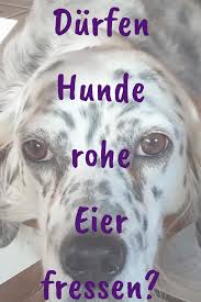 Pin Auf Gesunde Hunde