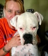 Young Adult Books (MG, Adult and PB, too!)-What We're Reading Now