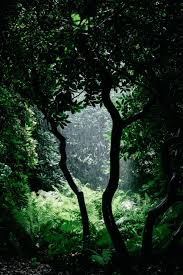 Relaxing Rain Sounds For Sleeping Relaxing Music Rainfall In 2020 Relaxing Rain Sounds Rain Sounds For Sleeping Landscape