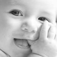 Los Litos Photography