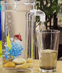 Catfish and bottom feeding fish are usually the best fish to keep with bettas. How Can I Help My Betta Who Is Laying At The Bottom Of His Tank Pets Stack Exchange