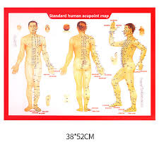 Us 3 11 11 Off Standard Meridian Acupuncture Points Chart And Zhenjiu Moxibustion Acupoint Massage Chart For Head Hand Foot Body Health Care In