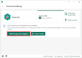 Aktivieren Von Kaspersky Internet Security 20