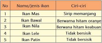 We did not find results for: Sebutkan 5 Jenis Ikan Dan Ciri Cirinya 5 Nama Ikan Dan Ciri Cirinya Ciri Ciri Ikan Patin Dan Ikan Lainnya Portal Purwokerto