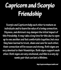 This duo is supportive of one another and they feel secure in each other's embrace. 12 Quotes About Scorpio Capricorn Relationships Scorpio Quotes