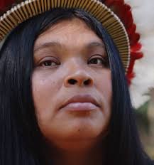 Pueblos Indígenas