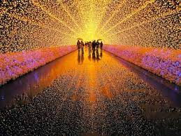 全球最高峰的彩燈會 日本三重縣桑名市 nabana no sato 名花之里 的燈飾 festivals around the world winter light festival winter light