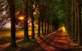 Дорога в осень скачать фото обои для рабочего стола (картинка 2 из 3)