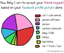 Friend Filtering Infographics Friend Request Pie Chart