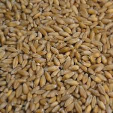 Lacrymogènes, pistolet à blanc ou gomm cogne, vous trouverez dans cette catégorie tout ce dont vous pouvez avoir besoin pour vous protéger, vous, ou vos proches. Achat Et Vente De Produits Agricoles Comparateuragricole Com