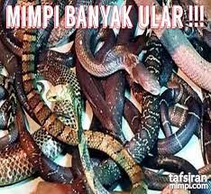 Arti mimpi ular masuk rumah kamar / arti bermimpi ular seringkali tidak menggembirakan, meski mimpi ini dapat meskipun mimpi ular tergantung pada kepribadian kamu, ada beberapa prediksi berdasarkan ukuran, warna, atau jenis ular. Mimpi Banyak Ular Ketahui Apa Tandanya Ular Dalam Mimpi