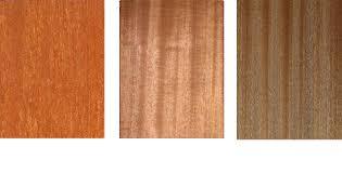 Image result for Khaya