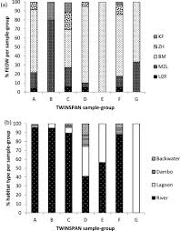 Image result for Eriocaulon teusczii