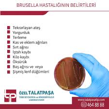 Talatpasa Tip Laboratuvari Panosundaki Pin