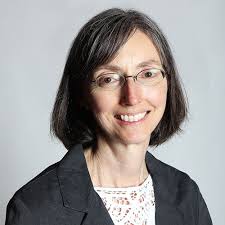 Clean Up City of St. Augustine, Florida: "Without public protections,  Florida will suffer" by Alyson Craig Flournoy and Mary Jane Angelo, UF  Levin College of Law (Pensacola News Journal)