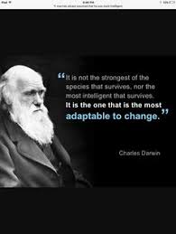  11 Quotes Ideas Words Quotes Inspirational Quotes