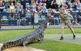 15 Jaar Later Voert Zoon Van Steve Irwin Dezelfde Krokodil Als Zijn Pa Fhm