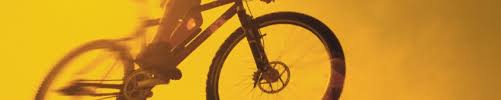 Anne Reiter Fahrrad Fahren Ist Meine Leidenschaft Uber Mich