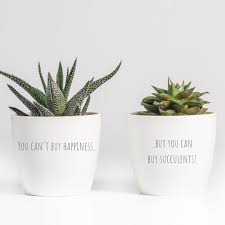 You Can T Buy Happiness Buy You Can Buy Succulents Buy Succulents Succulents Plant Pot Diy