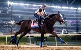 Dubai World Cup preview: Bob Baffert chases another title with ...