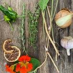 Herbs for Immunity at Jubilee Farm — Wildness Within