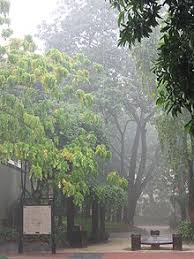 From an indoor perspective, you can hear the rain fall on the metal roof and spatter onto the ground. Geography Of Singapore Wikipedia