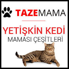 Proplan Yetiskin Kedi Mamasi Cesitleri Icerikleri Nasil Pro Plan