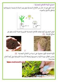 حاجة النبات الى الماء و الأملاح المعدنية موقع مدرستي