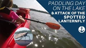 Learn how to setup a long range antenna on your boat and pick up wifi from shore for free. Improving Wifi And Internet Access Options On Boats At Marinas My Boat Life