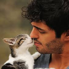 It S Hard To Decide Between Studly Men And Adorable Fuzzy Cuteness We Say Why Choose Haha Love It Cats Animals Baby Animals