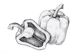 We did not find results for: Hand Drawn Fresh Bell Peppers Vector Premium Image By Rawpixel Com How To Draw Hands Stuffed Bell Peppers Fresh Bell Peppers