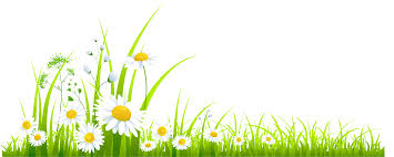 Spring Grass Clipart Clipartix Grass Clipart Spring Clipart Spring Photography