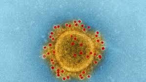 Laborversuche deuten außerdem auf eine stärkere vermehrung der viren im körper hin. Kreis Giessen Elf Corona Infektionen Mit Delta Variante Entdeckt Giessen