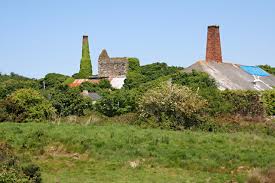 Image result for Wheal