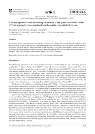 PDF) Two new species of sand-burrowing amphipods of the genus Haustorius  Müller, 1775 (Amphipoda: Haustoriidae) from the northwestern Gulf of Mexico