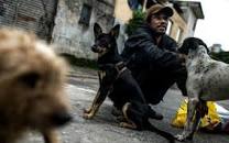 Resultado de imagem para mendigo brinca com seu caozinho