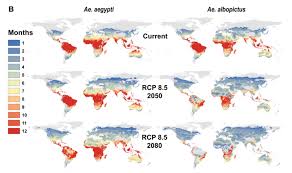 Mosquito Borne Diseases Could Spread To A Billion More