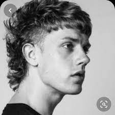 Pin By Peter Kirby On Men S Hair Mullet Haircut Mullet Hairstyle Curly Hair Men