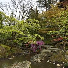 Japanese Garden Seattle Washington Seattle Japanese Gan Seattle Japanese Gan Is 3 5 Acre Urb In 2020 Japanese Garden Japanese Garden Landscape Seattle Japanese Garden