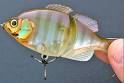 Jackall Giron swimbait - m