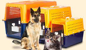 Great customer service · we love all animals · excellent track record Aircargo Update India S Woes In Transporting Pets