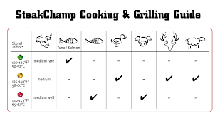 steak thermometer perfect steaks always everywhere