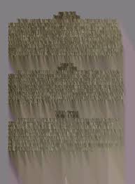 Commencement 2006-2011