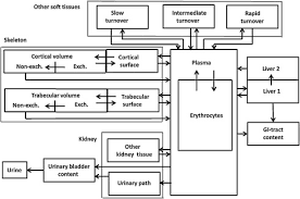 'masked singer' reveals first band to compete on show. A Quantitative Comparison Of The Chemo And Radiotoxicity Of Uranium At Different Enrichment Grades Sciencedirect