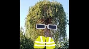 Les gilets jaunes ont désormais leur hymne. Parodie Polnareff Le Gilet Qui Fait Non Herve Tirefort Youtube