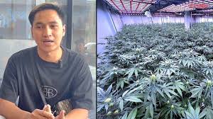 Hanapunzell sin ropa